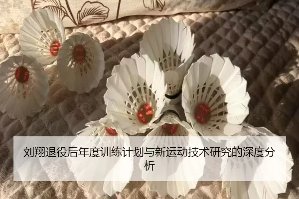 刘翔退役后年度训练计划与新运动技术研究的深度分析